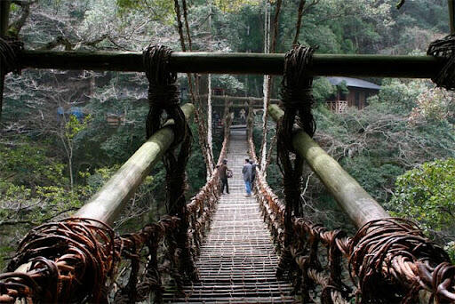 Yuk Kita Lihat 3 Jembatan Hidup di Dunia (Mantap!!! salah satunya ada di Indonesia)