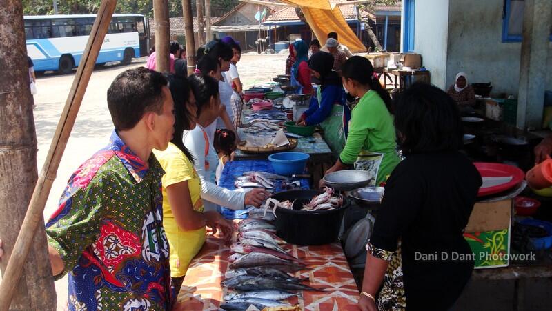 Jelajah Pantai Gunung Kidul Yogyakarta