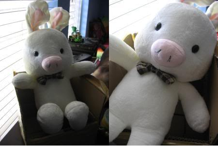 Boneka PIG RABBIT - Dwaeji Tokki (<3<3You are Beautiful <3 <3 Korean Series)