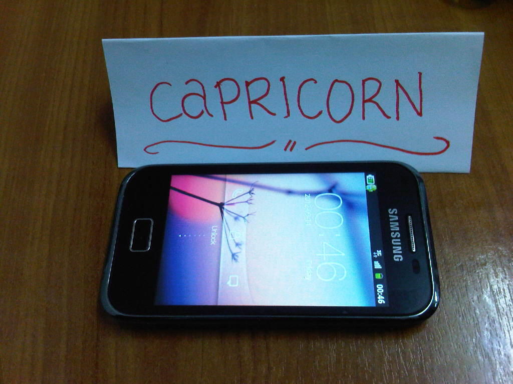 WTS Samsung Ace Plus (SGH-S7500)