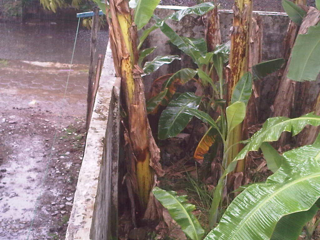Masuk Gan / Sis Ane Jamin bakal ''Wacchhhh'' !!!!!!!!!