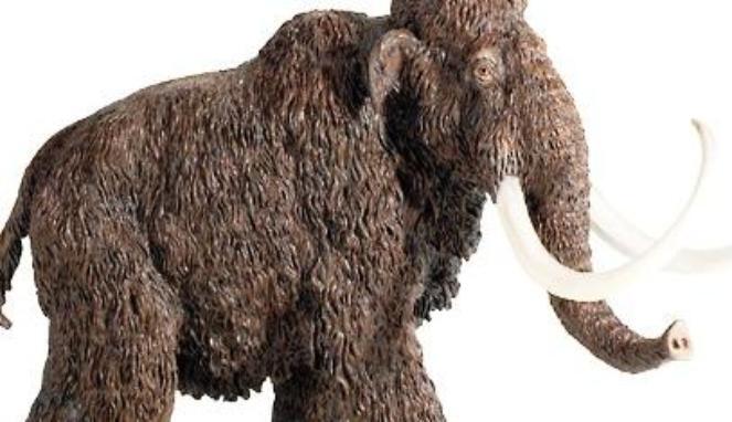 Ilmuwan Akan Segera Mengkloning Mammoth