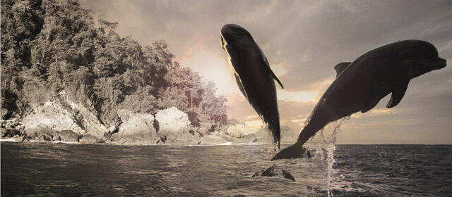 Teluk Kiluan : Hidden Paradise @ Indonesia =)