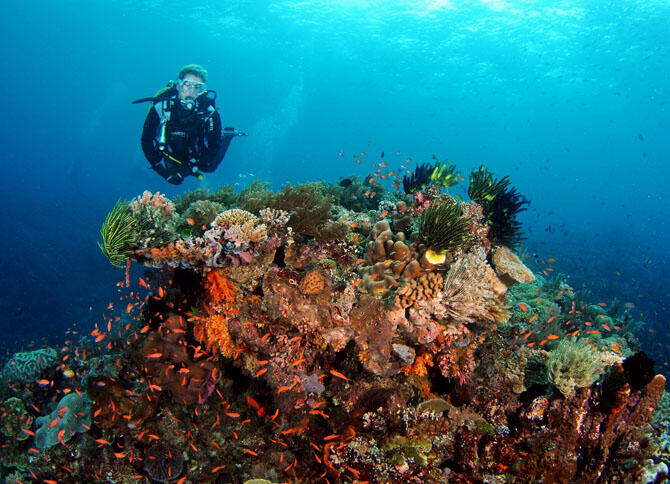 Indonesia mahakarya Indah bagi Travellers