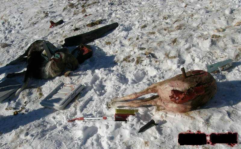 Helicopter Crash In Russia