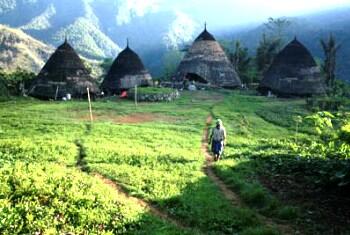 SINGGAH DI DESA WAE REBO NTT PERAIH PENGHARGAAN TERTINGGI UNESCO