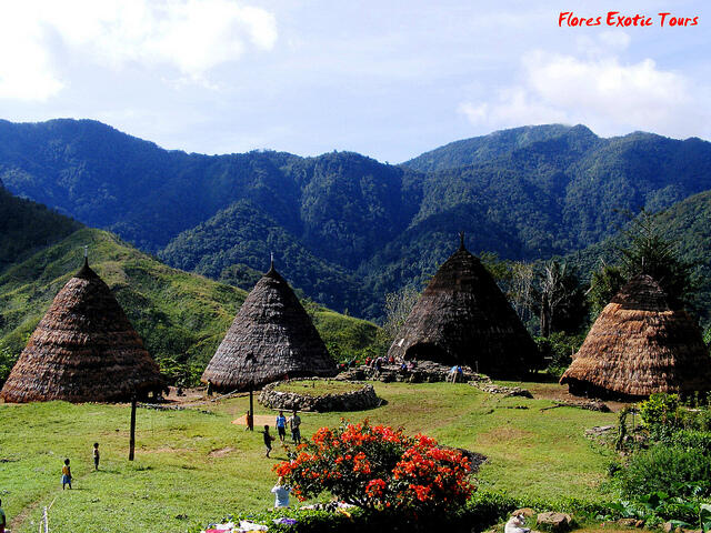 SINGGAH DI DESA WAE REBO NTT PERAIH PENGHARGAAN TERTINGGI UNESCO