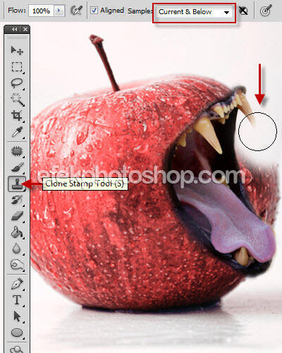 Manipulasi Photoshop Foto Apel Bermulut Singa