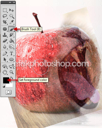 Manipulasi Photoshop Foto Apel Bermulut Singa