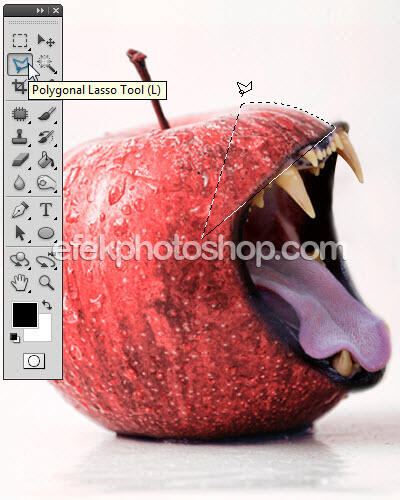 Manipulasi Photoshop Foto Apel Bermulut Singa