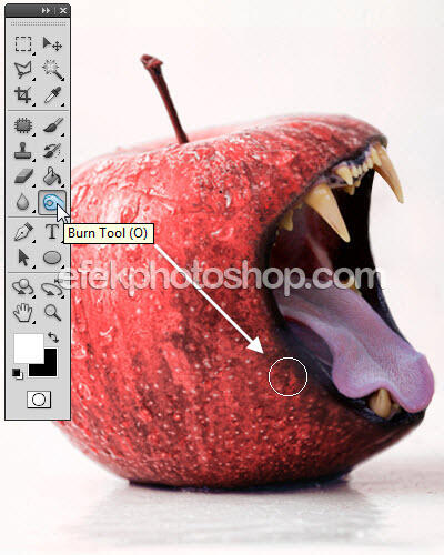 Manipulasi Photoshop Foto Apel Bermulut Singa