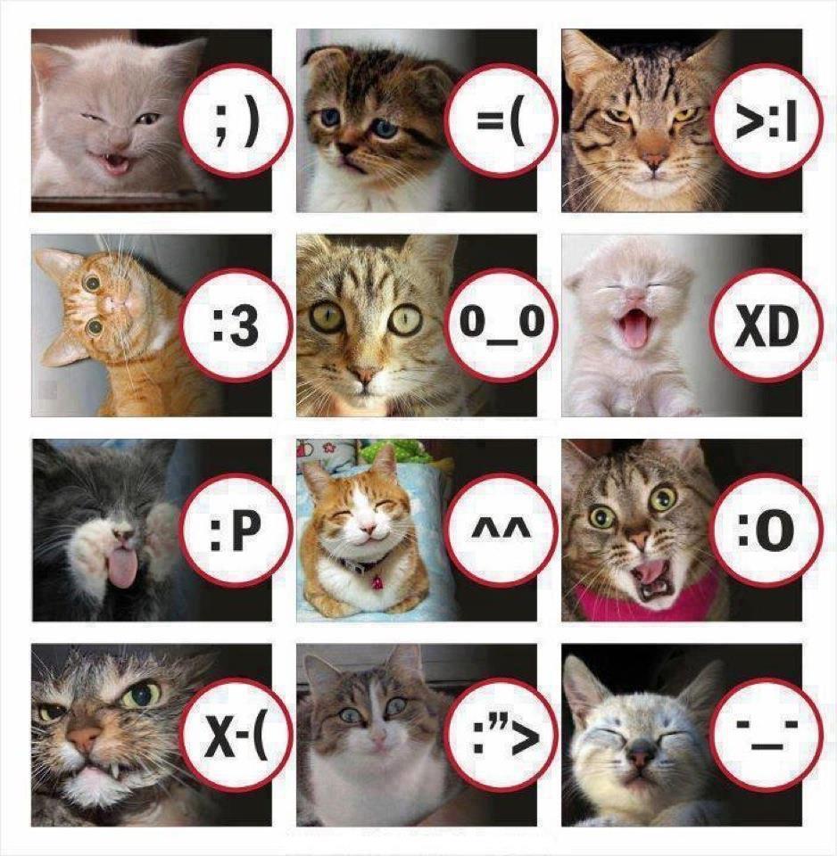 &#91;REALITY&#93; SMILIES LIST VERSI KUCING GAN.