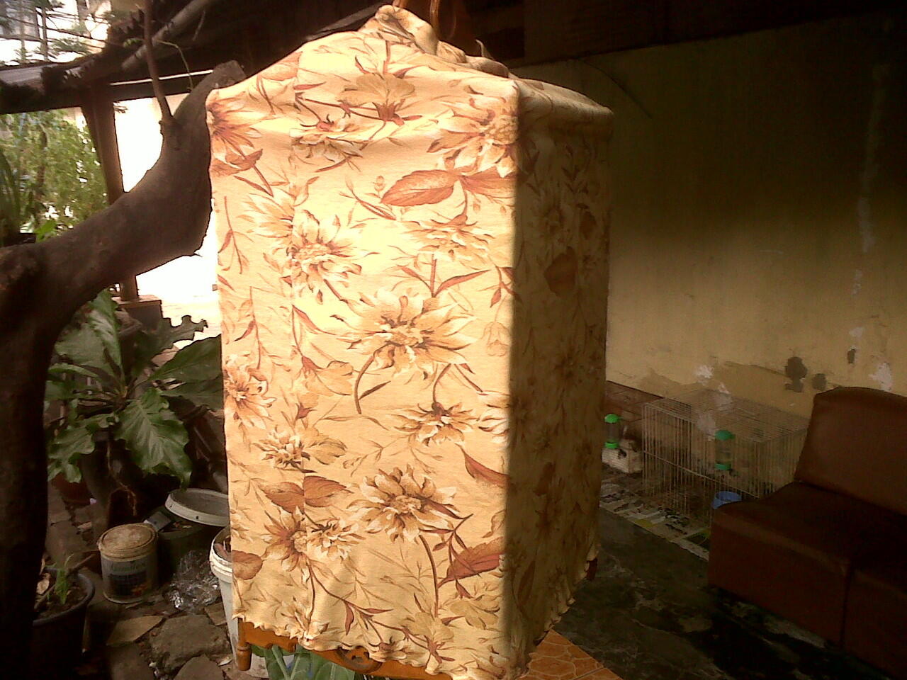 Jual Burung Cucak Wilis Gacor
