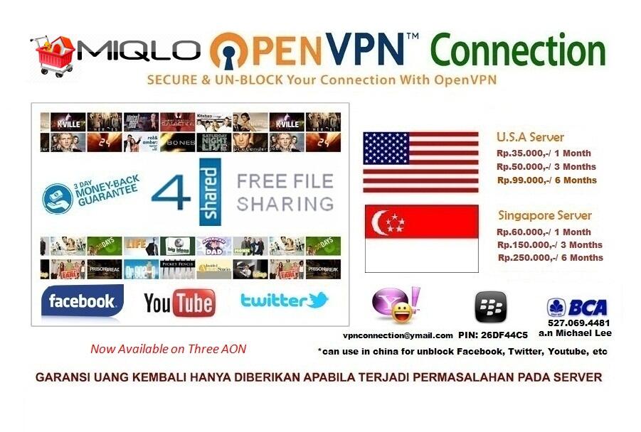 Open VPN