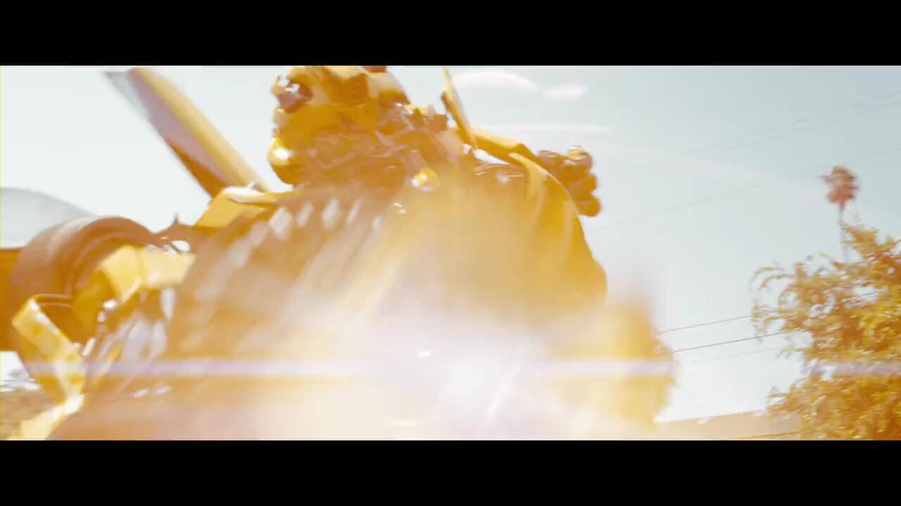 Spesial Edition of Bumblebee Part 2