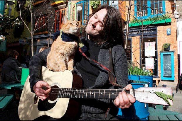 A Street Cat Named Bob