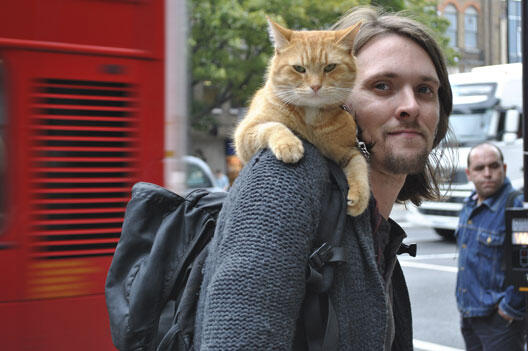 A Street Cat Named Bob