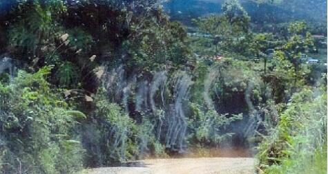Hantu Tahanan Perang Dunia II Muncul di Borneo +Pics, Serem!