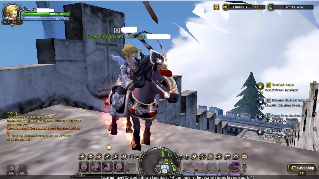 Jual Char Dragon Nest Indo Merc lv 40 polos termasuk kuda dll.