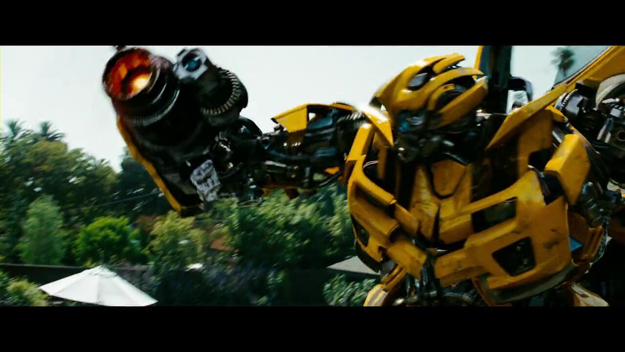 Spesial Edition of Bumblebee Part 2