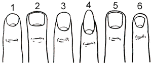 Mengetahui Karakter Seseorang Dari Kuku