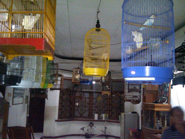 BLACKTHROUT, MOZAMBIK, LOVEBIRD, PLECI, LEDEKAN, DLL...