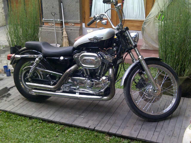 harley davidson sportster