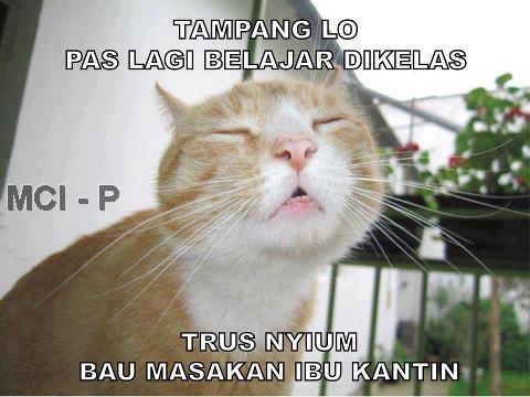 Kumpulan Gambar Meme, Lucu,&amp; Lain-Lain 5oktober2012@ Update Trus