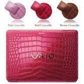 SONY VAIO VPCSB35FG/B