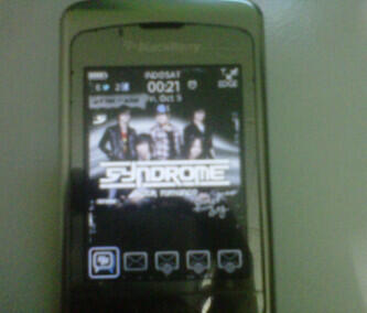 DIJUAL BATANGAN CEPAT BB PEARL 8220 FLIP GSM!!! (BU)