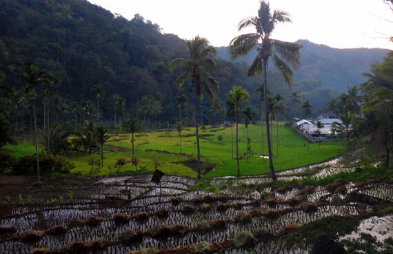 &#91;Travelista&#93; Menyapa Kearifan Lokal Pasar Situmage, Flores