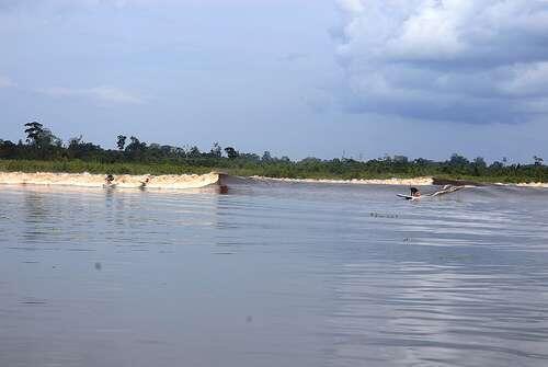 Percaya Tak Percaya, Sungai di Riau Ini Memiliki Ombak