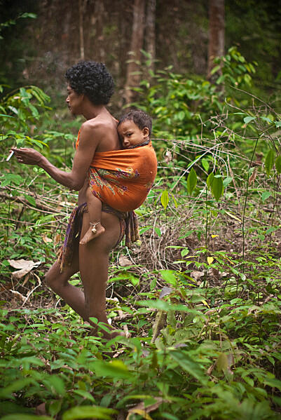 MENGENAL SUKU &quot;KUBU&quot; / SUKU ANAK DALAM JAMBI