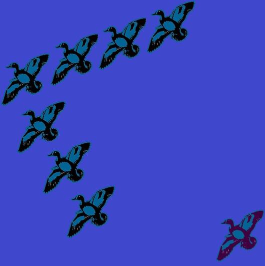 [must read] 5 pesan dari angsa