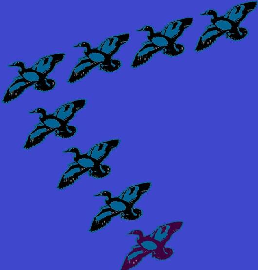 [must read] 5 pesan dari angsa