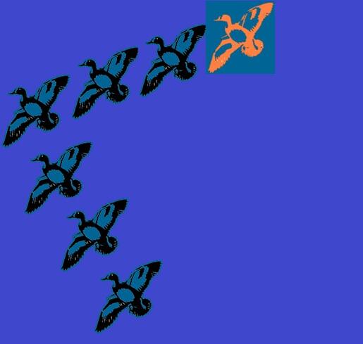 [must read] 5 pesan dari angsa