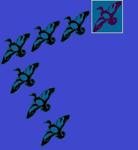 [must read] 5 pesan dari angsa