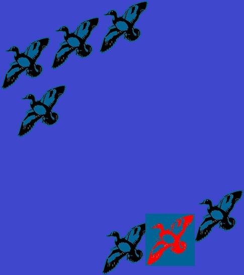 [must read] 5 pesan dari angsa