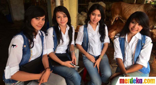 &#91;Sapi News&#93; - 4 Gadis Jadi SPG SAPI, dari Dijilat sampai Diseruduk...