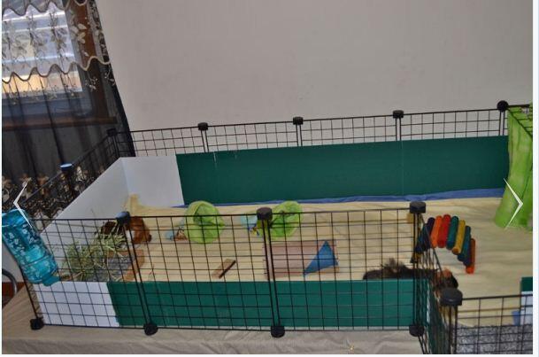 &#91;AsK&#93; TENTANG KANDANG (GRID+COnnector) untuk Guinea Pig Bandung ?