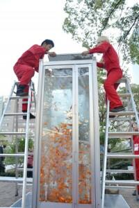 Aquarium Telepon Umum