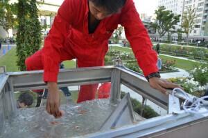 Aquarium Telepon Umum