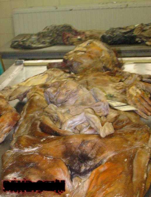 a very rotten mum and baby