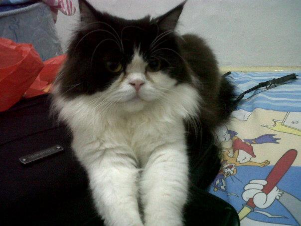 test di beta