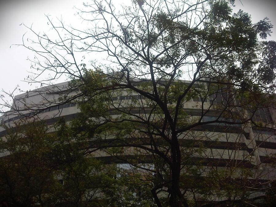 [Travellista] Kembali ke masa lalu dengan nuansa china di kawasan pasar glodok