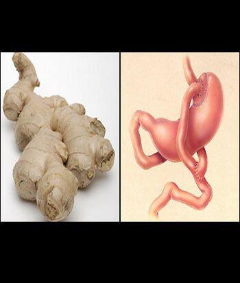Makanan yg mirip dengan Organ Tubuh dan manfaatnya