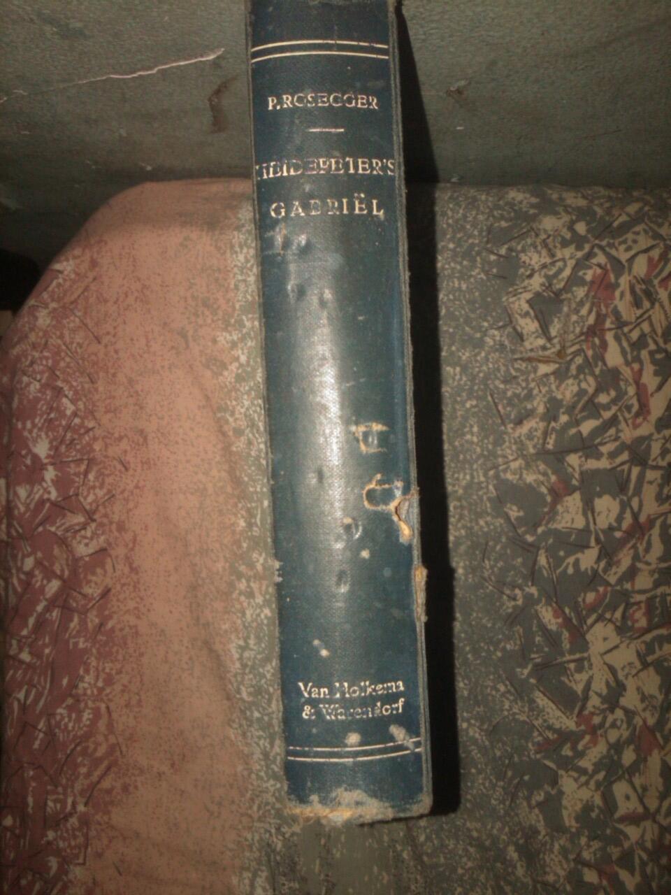 jual buku Heide Peterr Gabriel karya peterr rosseger