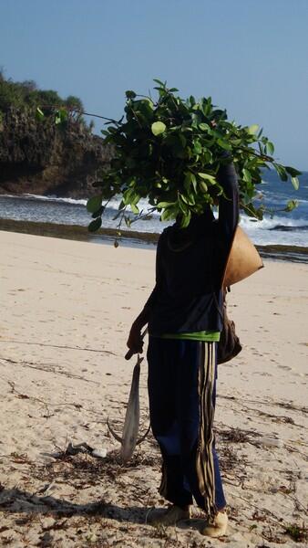 Jelajah Pantai Gunung Kidul Yogyakarta