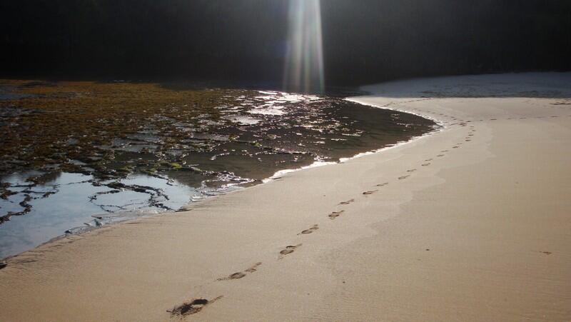 Jelajah Pantai Gunung Kidul Yogyakarta