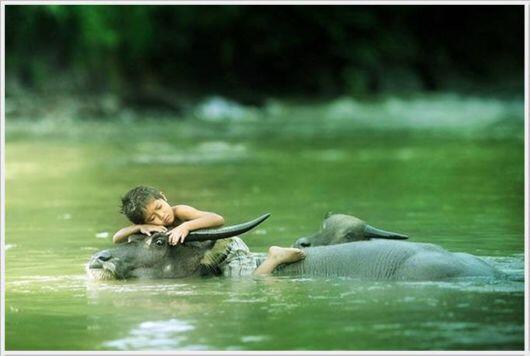 kumpulan foto moment yang WOW fotografer indonesia